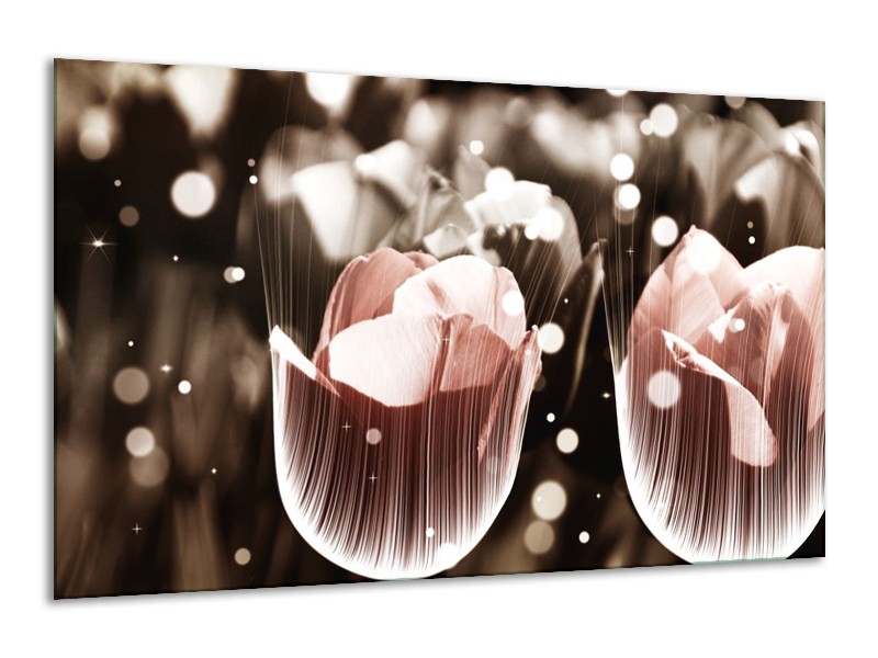 Canvas schilderij Tulp | Bruin, Grijs | 120x70cm 1Luik