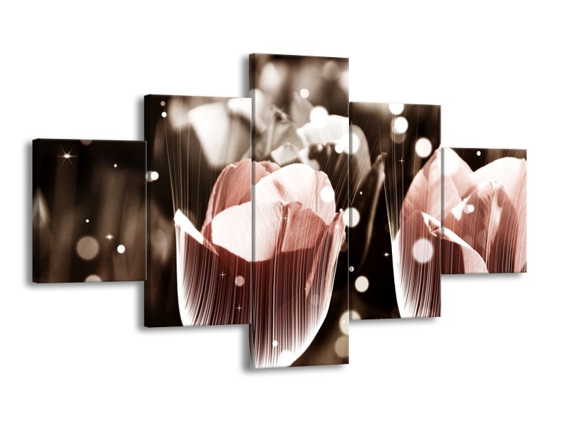 Canvas schilderij Tulp | Bruin, Grijs | 125x70cm 5Luik