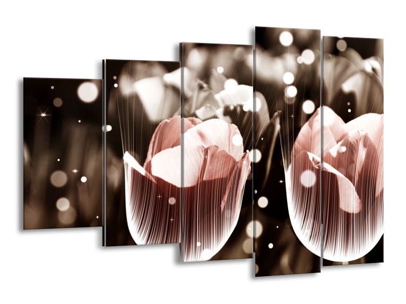 Canvas schilderij Tulp | Bruin, Grijs | 150x100cm 5Luik