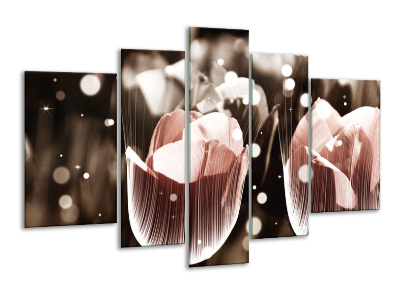 Canvas schilderij Tulp | Bruin, Grijs | 170x100cm 5Luik