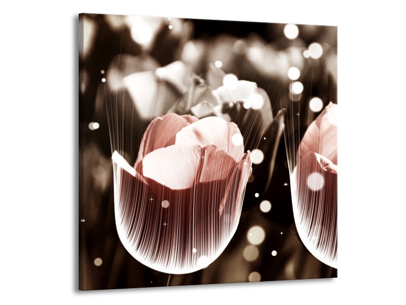 Canvas schilderij Tulp | Bruin, Grijs | 50x50cm 1Luik