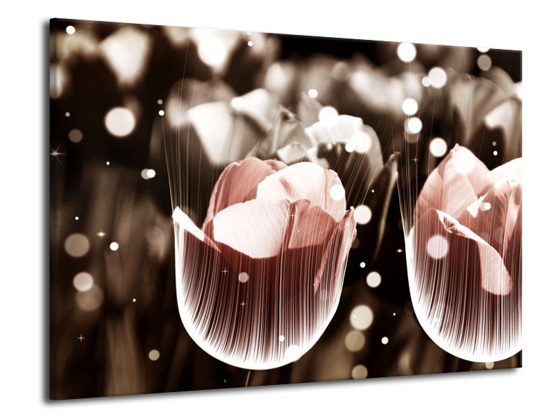 Canvas schilderij Tulp | Bruin, Grijs | 70x50cm 1Luik