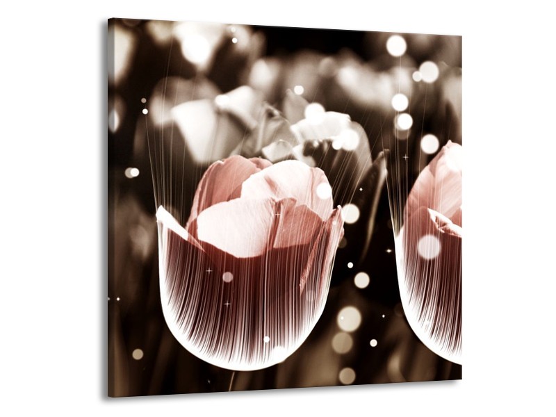 Canvas schilderij Tulp | Bruin, Grijs | 70x70cm 1Luik