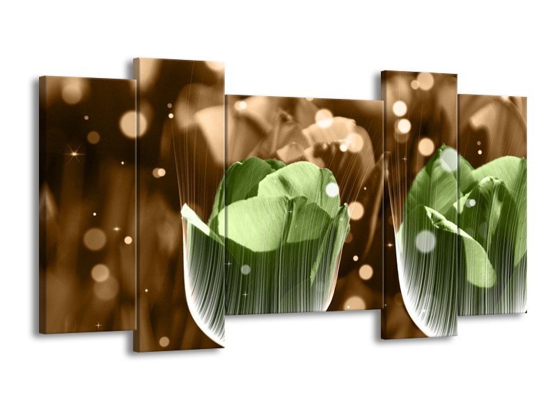 Glas schilderij Tulp | Groen, Bruin | 120x65cm 5Luik