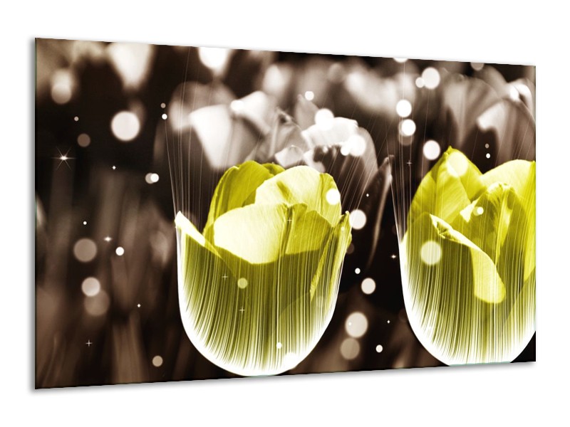 Canvas schilderij Tulp | Geel, Grijs | 120x70cm 1Luik