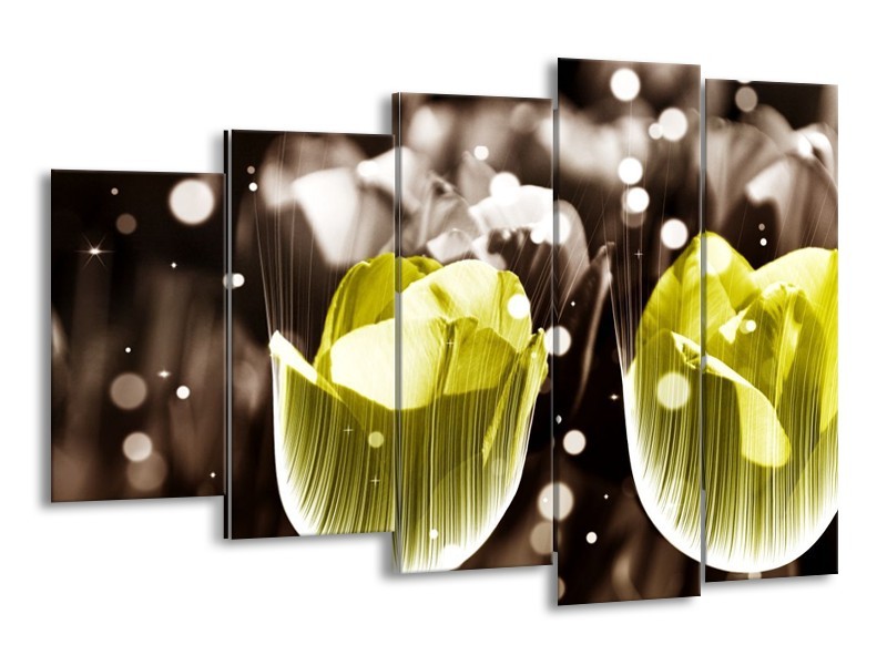 Canvas schilderij Tulp | Geel, Grijs | 150x100cm 5Luik