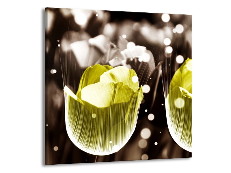 Canvas schilderij Tulp | Geel, Grijs | 50x50cm 1Luik