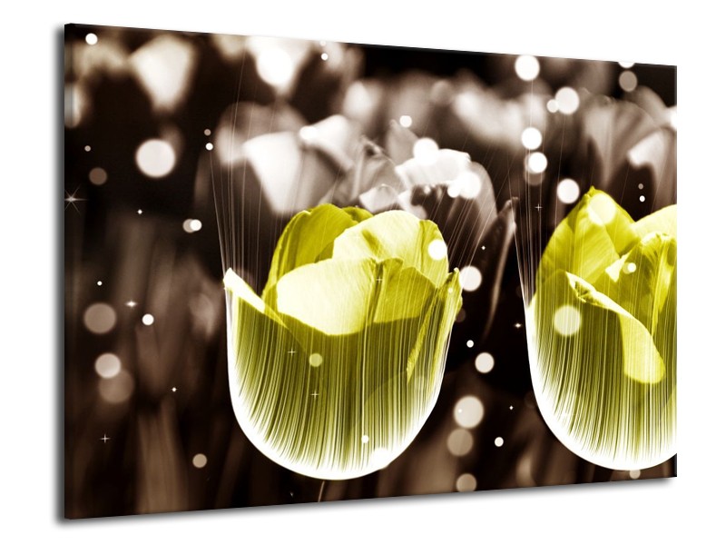 Canvas schilderij Tulp | Geel, Grijs | 70x50cm 1Luik