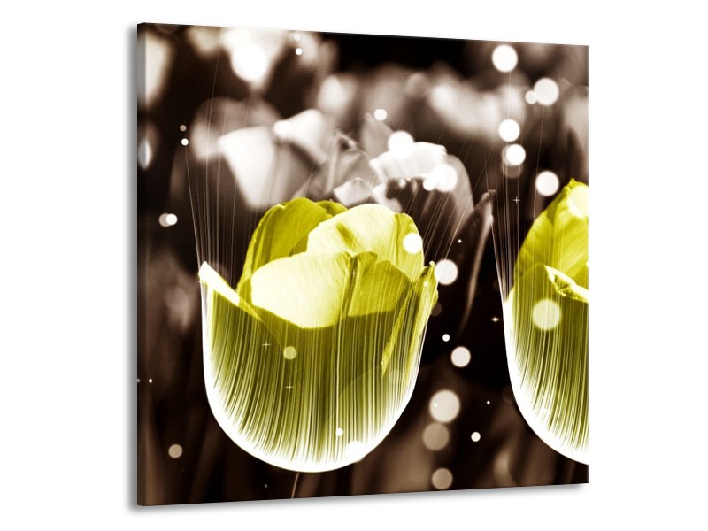 Canvas schilderij Tulp | Geel, Grijs | 70x70cm 1Luik