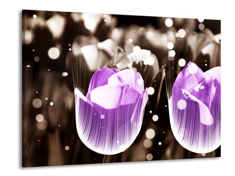 Canvas schilderij Tulp | Paars, Grijs | 100x70cm 1Luik