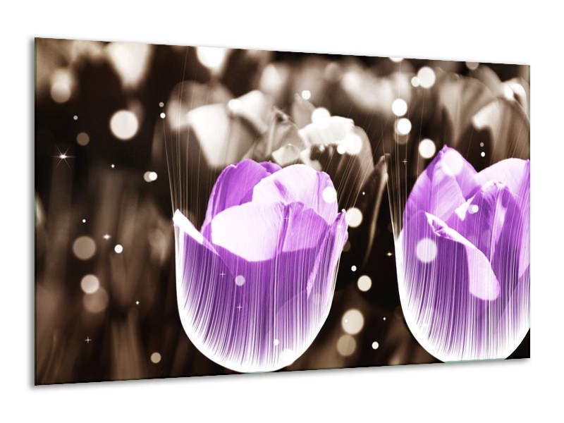 Canvas schilderij Tulp | Paars, Grijs | 120x70cm 1Luik