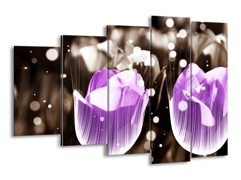 Canvas schilderij Tulp | Paars, Grijs | 150x100cm 5Luik