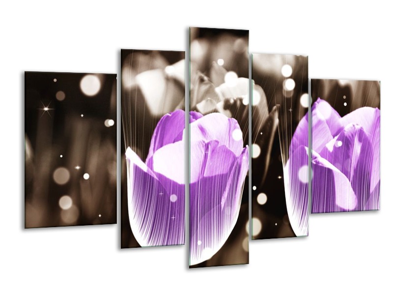 Canvas schilderij Tulp | Paars, Grijs | 170x100cm 5Luik