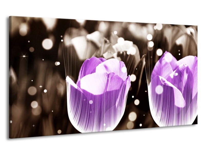 Canvas schilderij Tulp | Paars, Grijs | 190x100cm 1Luik