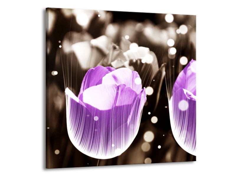 Canvas schilderij Tulp | Paars, Grijs | 50x50cm 1Luik