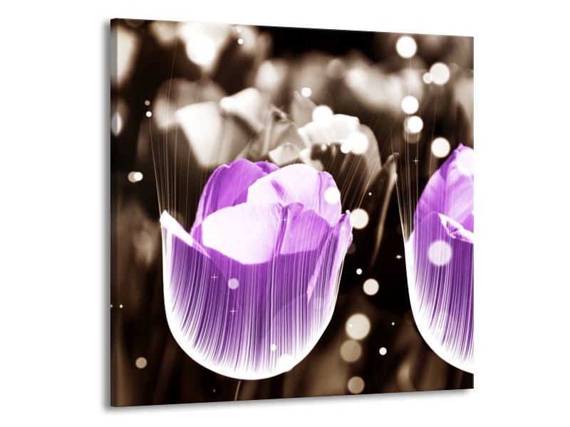Canvas schilderij Tulp | Paars, Grijs | 70x70cm 1Luik