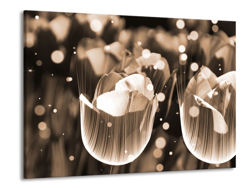 Canvas schilderij Tulp | Grijs | 100x70cm 1Luik