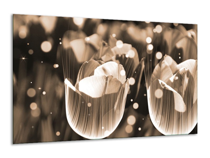 Glas schilderij Tulp | Grijs | 120x70cm 1Luik