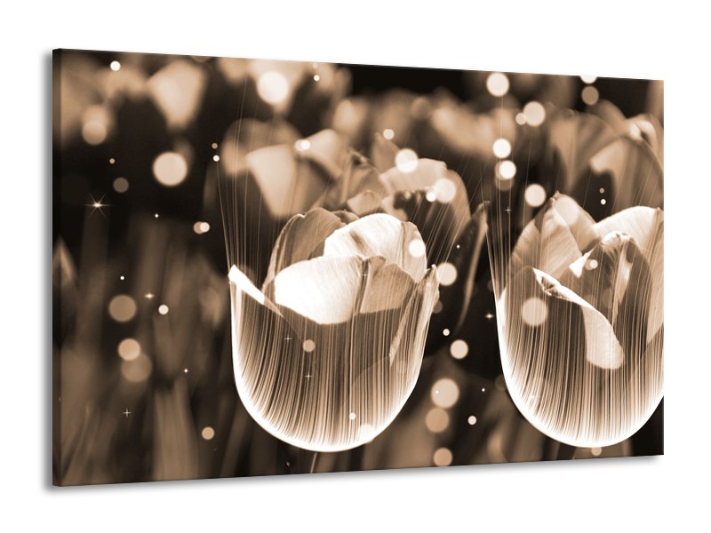 Glas schilderij Tulp | Grijs | 140x90cm 1Luik