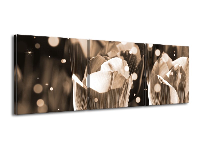 Canvas schilderij Tulp | Grijs | 150x50cm 3Luik