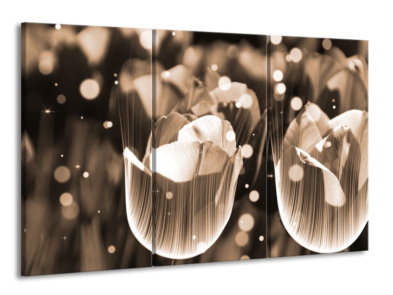 Glas schilderij Tulp | Grijs | 165x100cm 3Luik