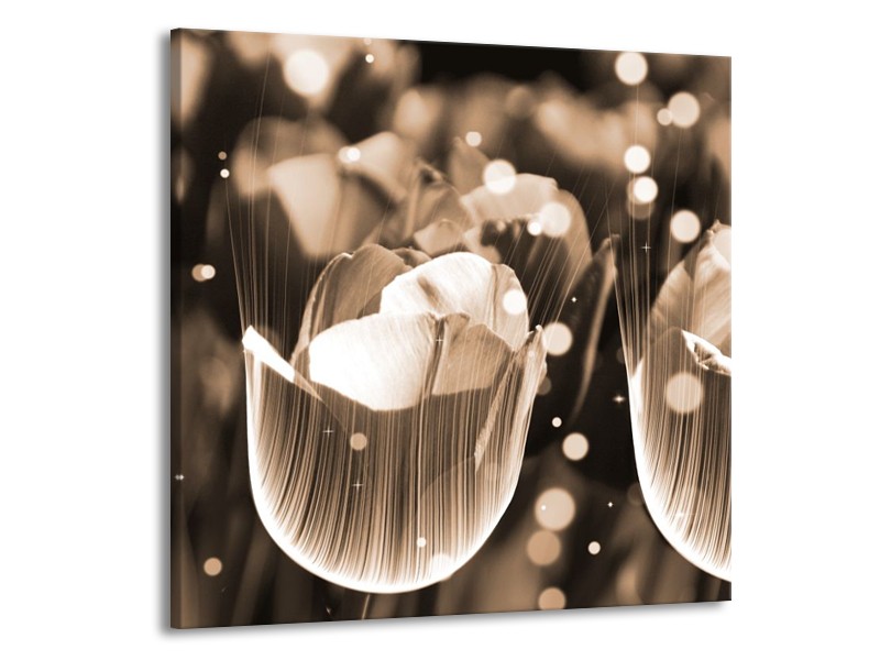 Glas schilderij Tulp | Grijs | 50x50cm 1Luik