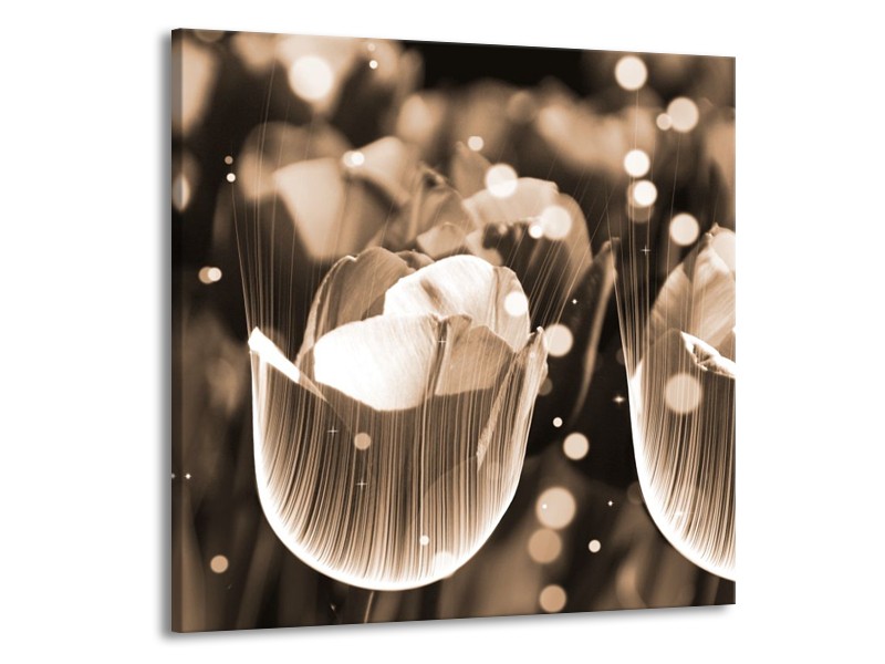 Glas schilderij Tulp | Grijs | 70x70cm 1Luik