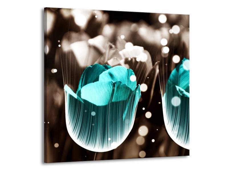 Glas schilderij Tulp | Blauw, Grijs | 70x70cm 1Luik