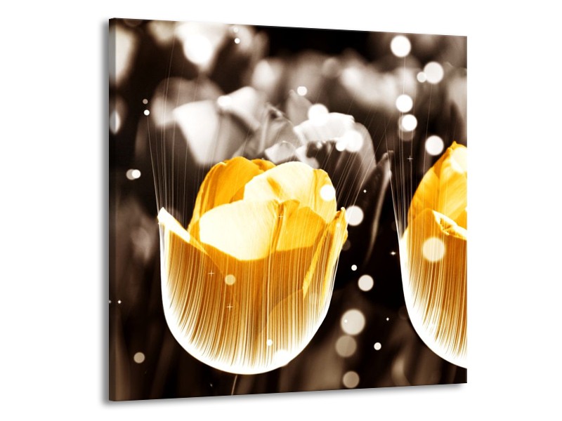 Glas schilderij Tulp | Geel, Grijs, Wit | 70x70cm 1Luik