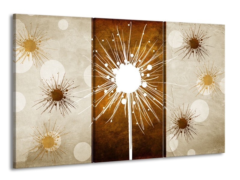 Glas schilderij Art | Bruin, Wit, Grijs | 165x100cm 3Luik
