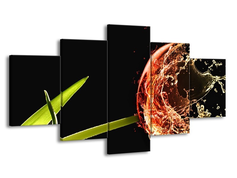 Glas schilderij Tulp | Zwart, Groen, Rood | 150x80cm 5Luik