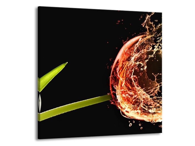 Glas schilderij Tulp | Zwart, Groen, Rood | 70x70cm 1Luik