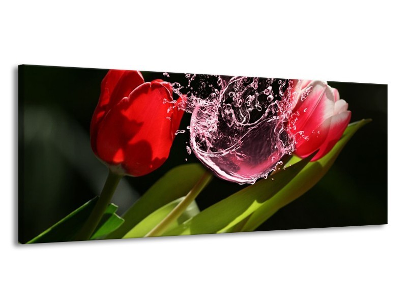 Canvas schilderij Tulp | Rood, Zwart, Groen | 145x58cm 1Luik