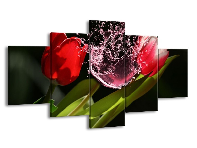 Glas schilderij Tulp | Rood, Zwart, Groen | 150x80cm 5Luik