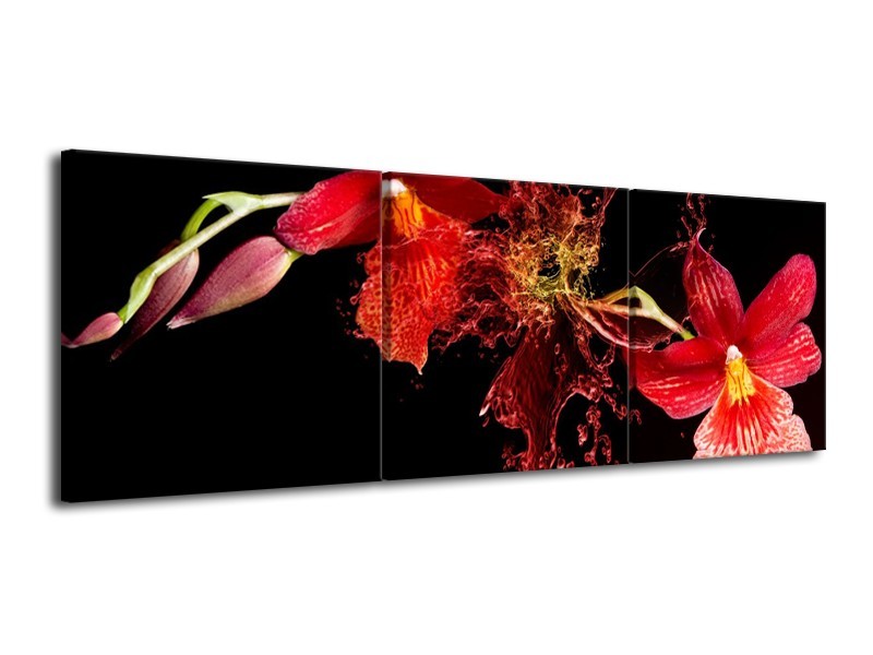 Canvas schilderij Art | Rood, Zwart | 120x40cm 3Luik