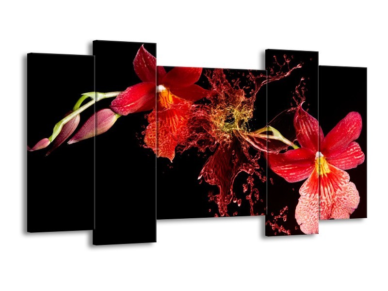 Canvas schilderij Art | Rood, Zwart | 120x65 5Luik