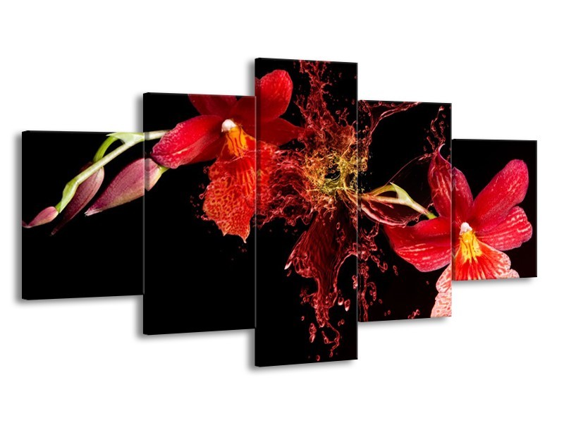 Glas schilderij Art | Rood, Zwart | 150x80cm 5Luik