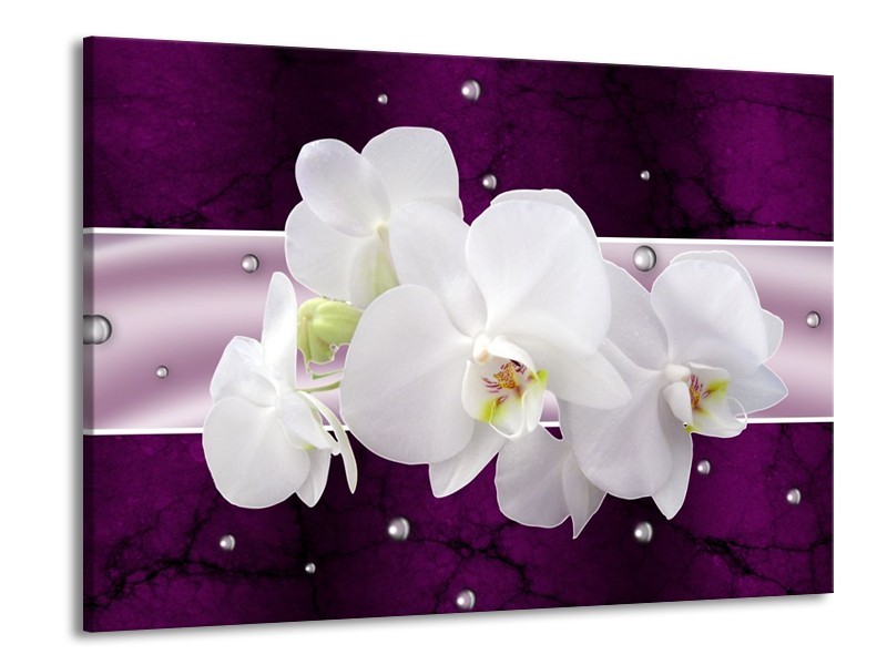 Canvas schilderij Orchidee | Zwart, Wit, Paars | 100x70cm 1Luik
