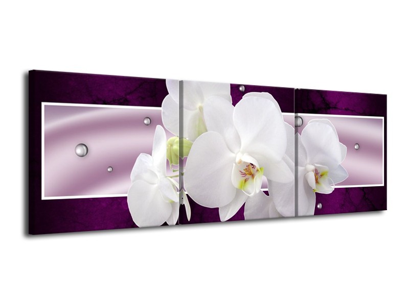 Glas schilderij Orchidee | Zwart, Wit, Paars | 120x40cm 3Luik