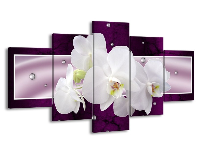 Glas schilderij Orchidee | Zwart, Wit, Paars | 150x80cm 5Luik