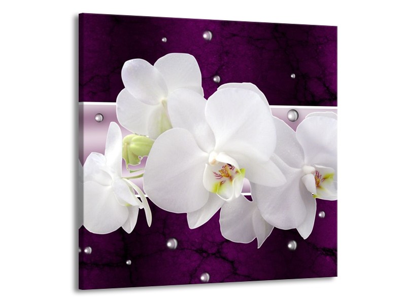 Glas schilderij Orchidee | Zwart, Wit, Paars | 70x70cm 1Luik