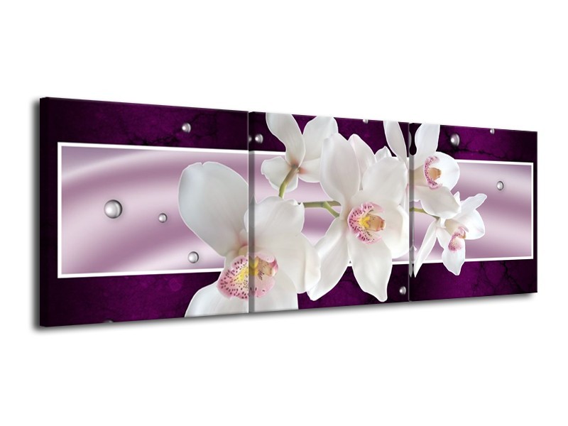 Glas schilderij Orchidee | Wit, Paars | 120x40cm 3Luik