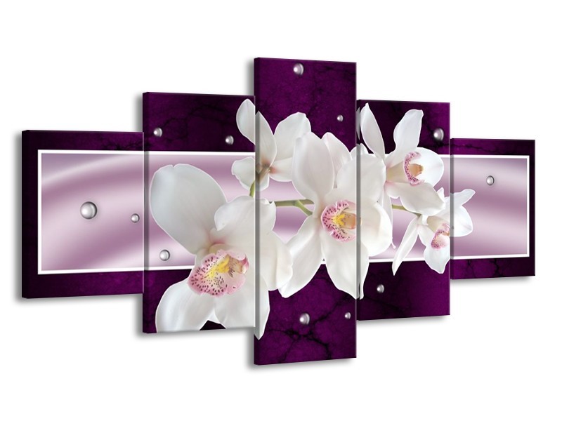 Glas schilderij Orchidee | Wit, Paars | 150x80cm 5Luik