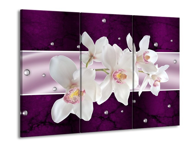 Glas schilderij Orchidee | Wit, Paars | 90x60cm 3Luik