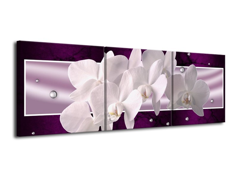 Glas schilderij Orchidee | Wit, Paars | 120x40cm 3Luik