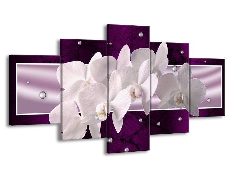 Glas schilderij Orchidee | Wit, Paars | 150x80cm 5Luik