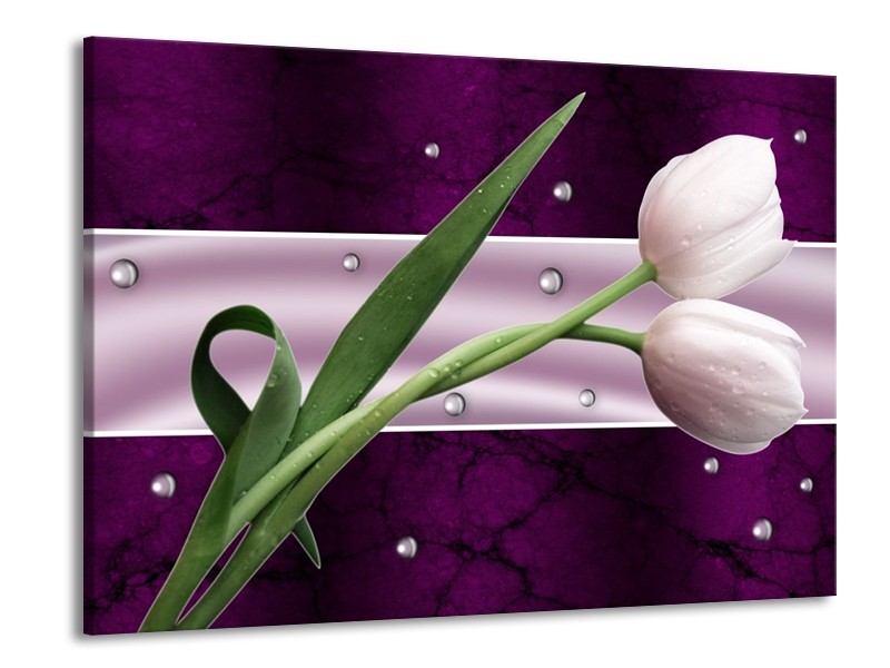 Canvas schilderij Tulp | Paars, Groen, Groen | 100x70cm 1Luik