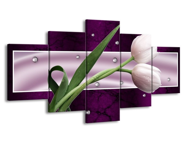 Glas schilderij Tulp | Paars, Groen, Groen | 150x80cm 5Luik