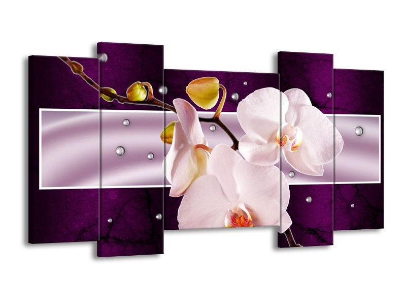 Canvas schilderij Orchidee | Paars, Wit, Grijs | 120x65 5Luik