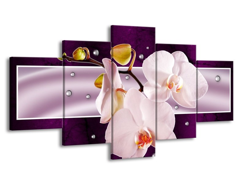 Glas schilderij Orchidee | Paars, Wit, Grijs | 150x80cm 5Luik